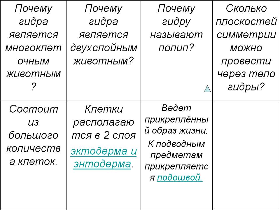 Почему не работает кракен сегодня