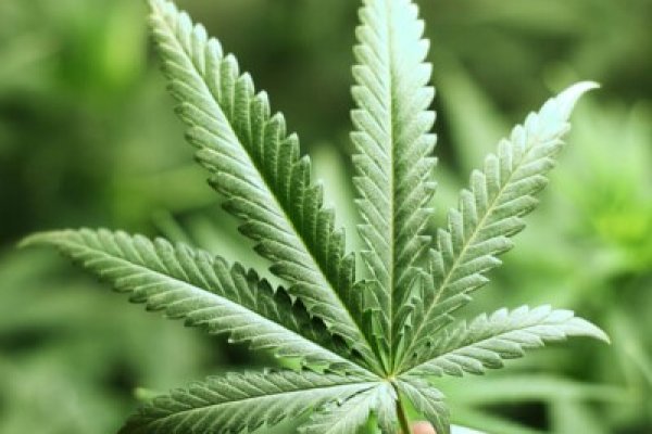 Kraken официальная ссылка tor