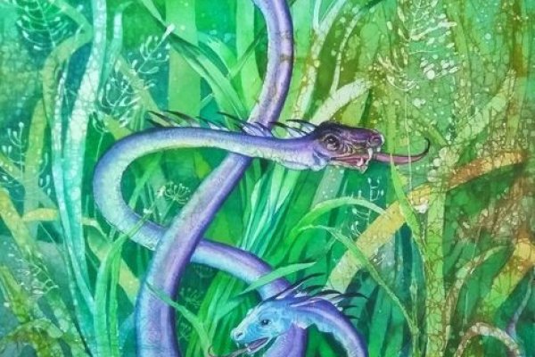 Кракен маркетплейс откуда взялся